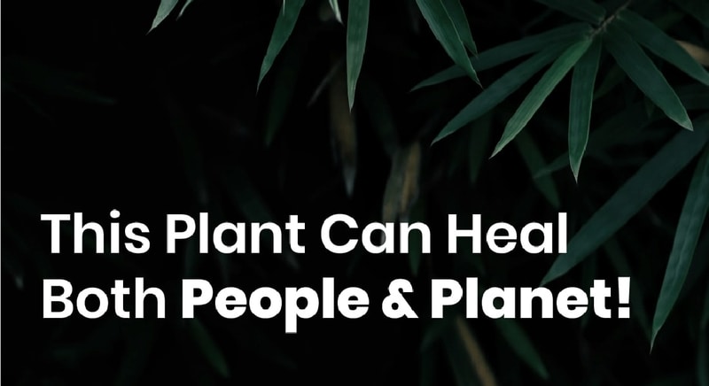 India Hemp Organics Facebook ad campaign creatives